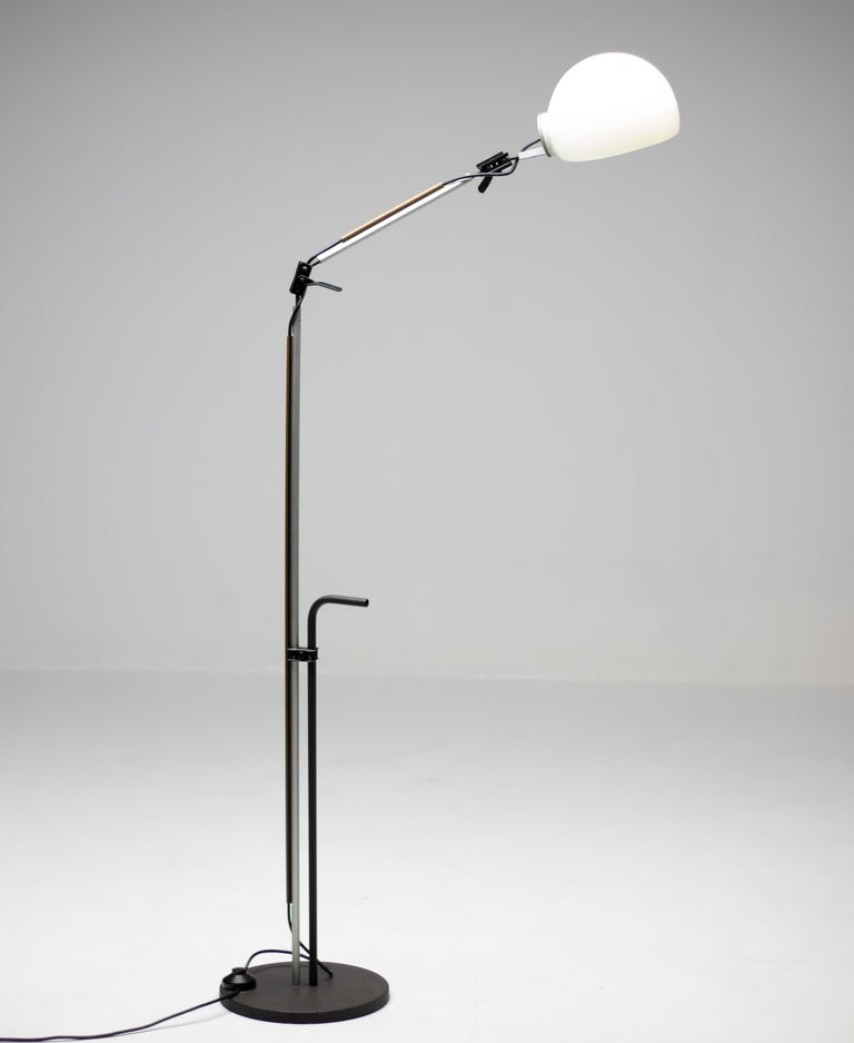 Enzo Mari & G. Fassina Aggregato Floor Lamp for Artemide, Italy, 1975 - Image 3