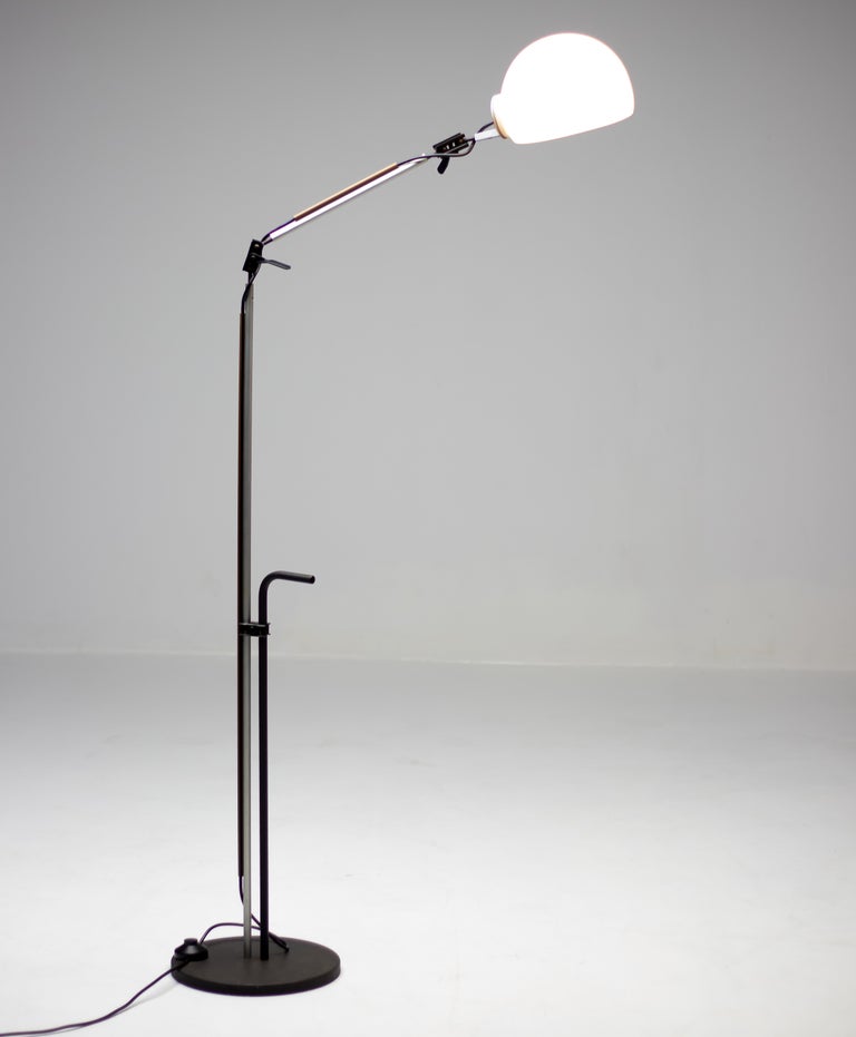 Enzo Mari & G. Fassina Aggregato Floor Lamp for Artemide, Italy, 1975 - Image 9