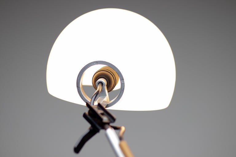 Enzo Mari & G. Fassina Aggregato Floor Lamp for Artemide, Italy, 1975 - Image 6