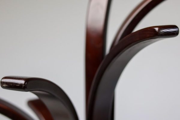 Pair of Plywood Coat Racks by Carlo Cerbaro for Porada - Image 5
