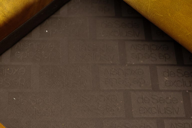 De Sede DS-42 2-Seater Sofa in Natural Bullhide, Switzerland 1970s - Image 17