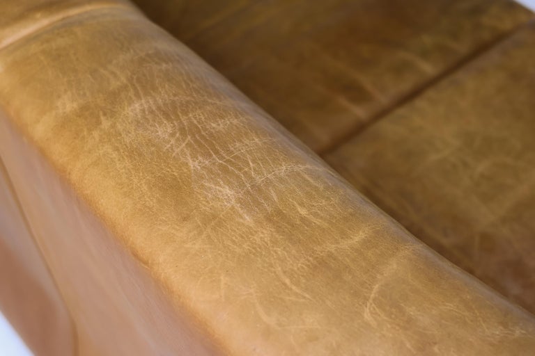 De Sede DS-42 2-Seater Sofa in Natural Bullhide, Switzerland 1970s - Image 14