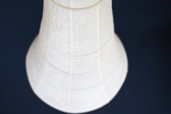 Tall Mid Century Modern Isamu Noguchi Akari E Light Sculpture - Image 11