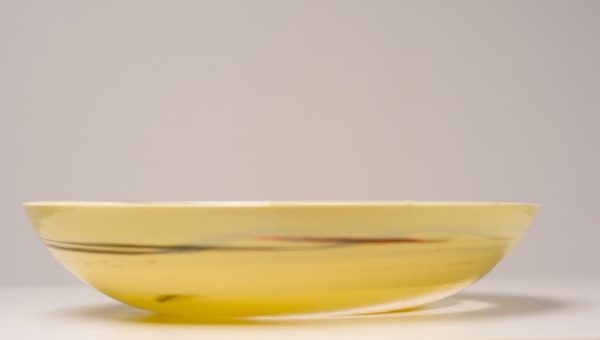 Dino Martens Large Glass Bowl - Image 3