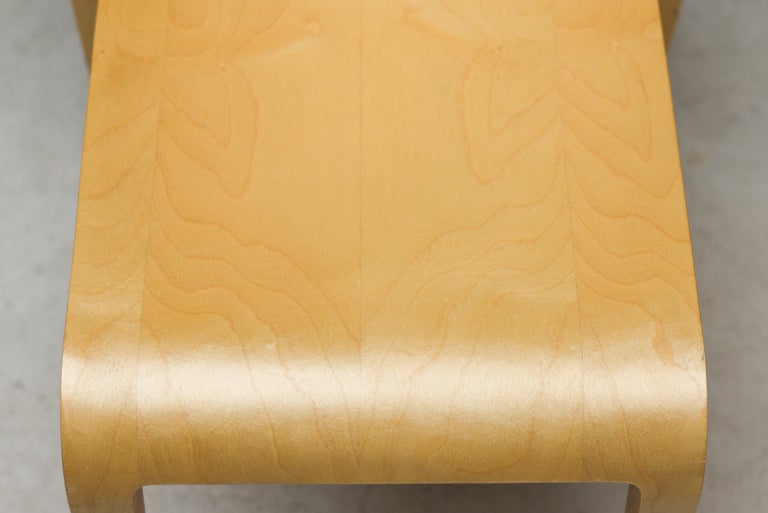 A Monumental Collection – 60 Alias Laleggera Chairs in Birch - Image 11