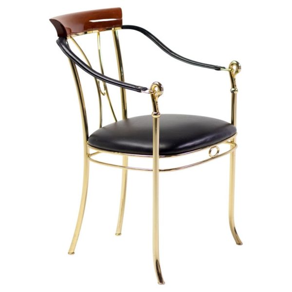 Vidal Grau Brass Swan Chair